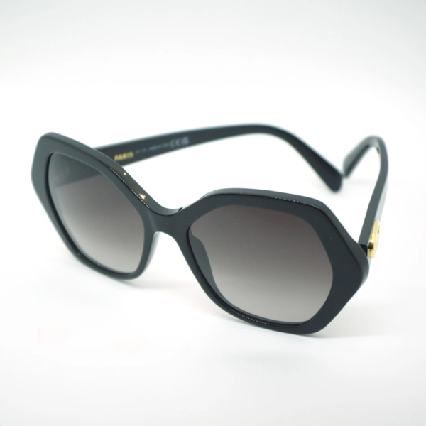 Celine - CL40166I